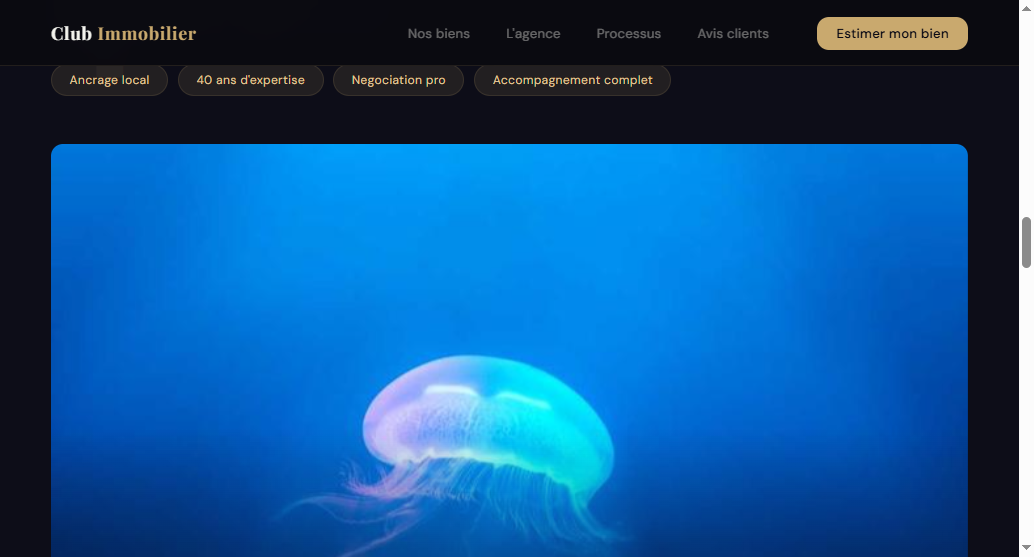 The redesigned 'agency' section: four scannable chips (local roots, 40 years of expertise, professional negotiation, full support) laid over a large full-bleed visual
